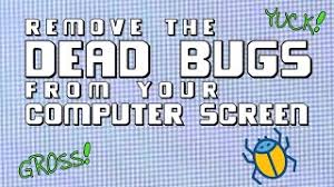 Yea, i used to work with someone in the computer industry, the best way to clean computer bits is with a air compressor, just hold it around the screen until you find where he (the bug) got in there, and you might be able to move it out. How To Remove Dead Bugs Inside Your Computer Monitor Without Taking Screen Apart Youtube
