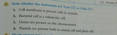 We did not find results for: Please Answer True Or False Brainly In