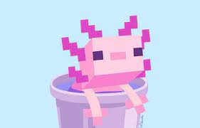 Axolotls will only appear in the pools inside lush caves. How To Find Axolotls In Minecraft Caves Cliffs