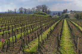 10 au 18 juillet 2021 lussac fête le passage du tour de france le 17 juillet 2021 ! Bordeaux Saint Emilion