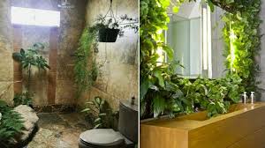 En este caso, lo mejor. Plantas De Interior Para Cuarto De Bano Youtube