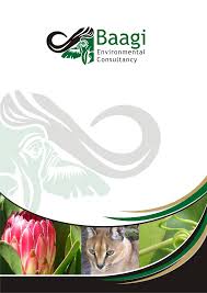 Image result for Oxygonum delagoense