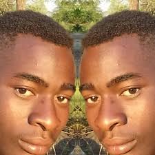 Im tryna plant some palm trees in my backyard