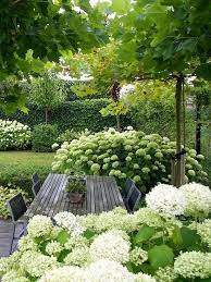 Pin On Garden Screening Ideas