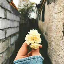 من القلب Posts Facebook