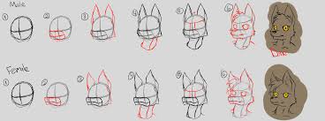 Draw ears of furry that are attached with the hair. Beginner Easy Furry Drawing Novocom Top