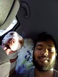 💔 Mr Berry last of our pack. He crossed the rainbow bridge yesterday to be  with Bella and Buddy.. he was such a great dog loved everybody. So many  great memories with