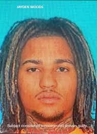 Nanette Hebert's Instagram, Twitter & Facebook