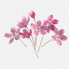 Download now for free this watercolor pink flowers transparent png image with no background. Fiori E Pensieri Laquila Apricot Wedding Flowers Branch Artificial Flower Png Pngegg