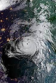 Northern gulf coast on sunday. 5pcuw7ehd 9lcm