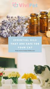 The only thing that seemed to get the smell out was cinnamon. Vivipet Essential Oils That Are Safe For Your Cat Essential Oils Wellness Cat Food Essential Oils Cats