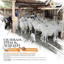 Hadiah Utk Yg Telah Pergi In 2020 Dam Animals Goats