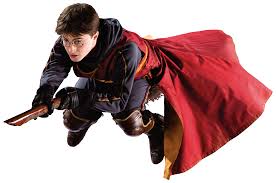 Image result for harry potter quidditch