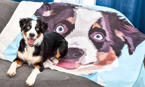 Personalised, embroidered dog/cat puppy/kitten blanket. Custom Pet Blanket Dogs Cats Cuddle Clones Custom Pet Art Cat Cuddle Pets