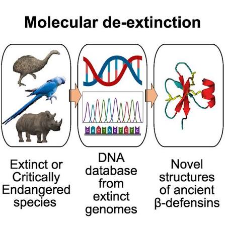 Defensins identified through molecular de-extinction: Cell Reports Physical  Science