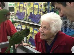 Grandma Is The Bird Whisperer Ross Smith Youtube