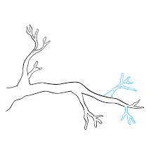 Here you just draw a silhouette you like: How To Draw A Tree Branch Really Easy Drawing Tutorial