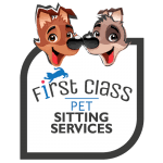 Pet sitting service across south east melbourne. Pet Wedding Assistant Melbourne Pet Wedding Services