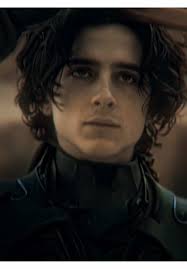 Lets Dune This Timothy