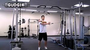 Lower the weights all the way down and then lift halfway up. Cable Standing Reverse Fly Gudgie Youtube