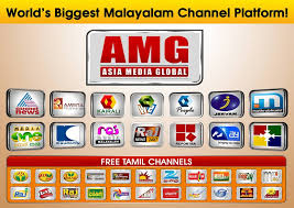The company's operating segments include investment holding; Asia Media Global Home Facebook