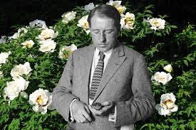 Peony roses are strong growing perennials that flower late spring to early summer. Meet The Man Behind The Peony Jstor Daily