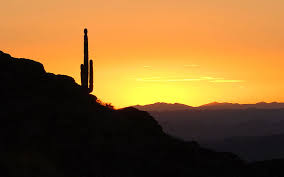 Desert sunset in arizona near phoenix. Page 10 Hd Sunset Desert Wallpapers Peakpx