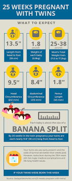 25 Weeks Pregnant With Twins What To Expect