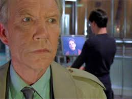 Doux Reviews: La Femme Nikita: View of the Garden