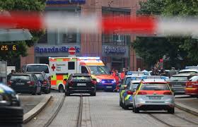 The hypernym of the term somali from a geopolitical sense is horner and from an ethnic sense, it is cushite. Somali Kills Three In Germany Knife Attack