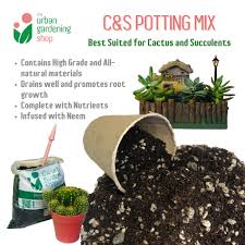 To care properly for your cacti, transplant them as soon as possible after buying them to ensure healthy. C S Soil Less Potting Mix 1 Liter Ideal For Cactus Succulents The Urban Gardening Shop Shopee Philippines