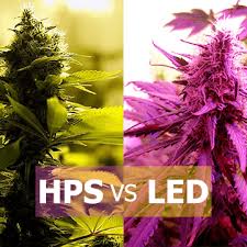Have you heard about cob led grow lights and want to know what the fuss is about? Lighting In Cannabis Cultivation Hps Vs Led Vanq Led