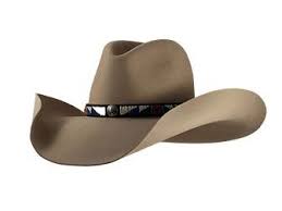 Sahara Cowboy Hat Styles Hats For Men Cowboy Hats