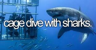 Cage Dive With Sharks Bucket List