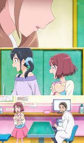 pin on precure pretty cure series