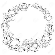 Check spelling or type a new query. Round Wreath With Outline Pumpkin Vine With Flower Ornate Leaf Royalty Free Cliparts Vectors And Stock Illustration Image 108826958