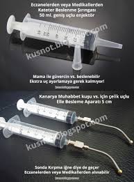 Kusnot Mama Ile Kus Besleme Siringa Veya Enjektorleri