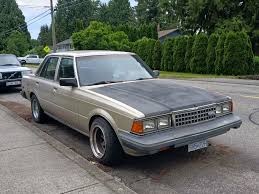 Image result for Brown 1984 Cressida