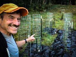 6 dozen just added to the shed!