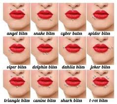 lip piercing nomenclature dudak piercingleri piercing fikirleri kulak piercingleri
