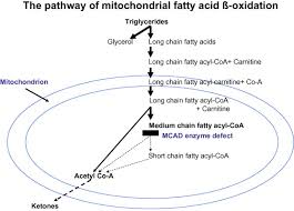 Image result for MCAD Deficiency
