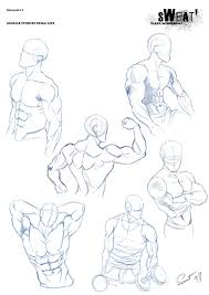If you have the time, could you do a similar short guide on shoulders/back muscles? Female Muscles Drawing Reference Novocom Top