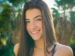8721 santa monica blvd, #428. Charli D Amelio Losing Followers Everyone Who S Defended Her