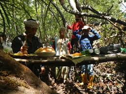 Bangunan sudc ground floor lot a5, sipitang, 89850, malaysia. Global Forest Coalition Community Conservation Resilience Initiative In Sabah Malaysia Global Forest Coalition