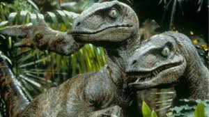 Raptor dinosaur facts | dinosaurs pictures and facts. 10 Interesting Facts About Velociraptor Ohfact
