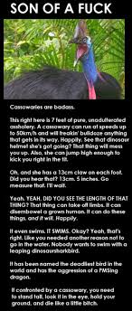 It Is Not Even Slightly Okay That This Thing Exists Lolsnaps Humor Bones Funny Funny Pictures