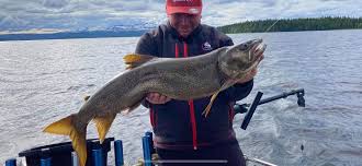 Nicklas peppar mig och försäkrar mig om att den säkerligen väger över fyra kilo, själv är jag lite mer återhållsam. Vestli S Fiske Fredrik Sjoblom Kanadaroding 7 7 Kg Facebook
