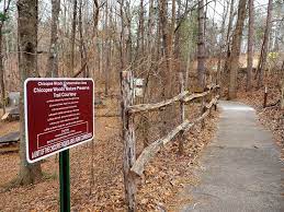 Elachee Has A Fun Unconventional Idea For 2020 You Should Walk 150 Miles Gainesville Times