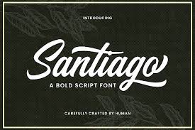 Different fonts can be used and look best on different uses. Santiago Bold Script Font Font Design Alphabet Types Of Lettering