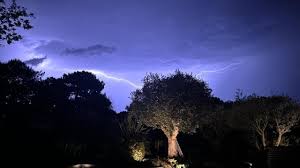 vigilance orages